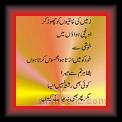 Abrar Shhir 02 * 24.04.2007 * 316 x 654 * (17KB)